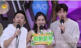 网红爆料杨迪视频大全,杨迪视频大全背后的精彩瞬间